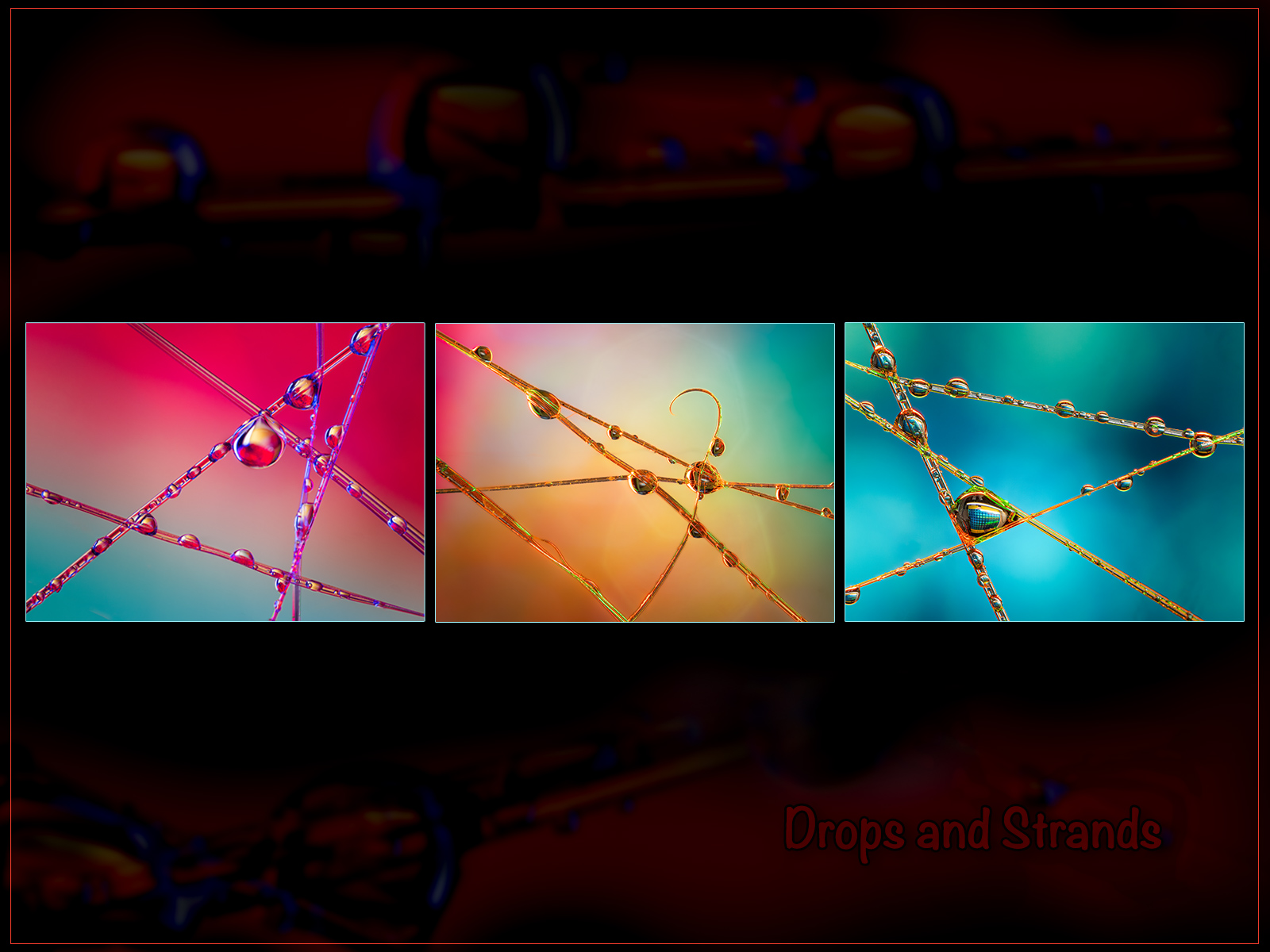 1st Place PDI - Trevor Ager - Drops & Strands